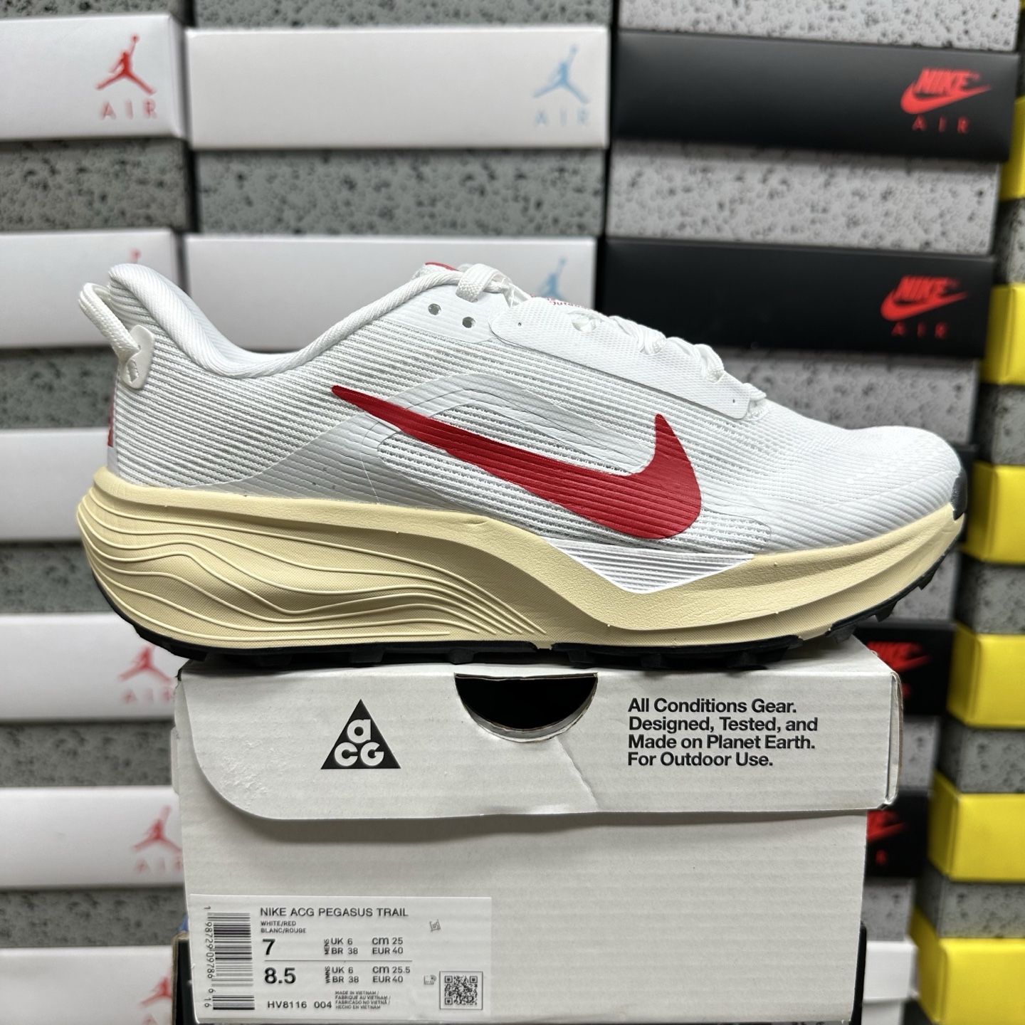Nike ACG Pegasus Trail HV8116-004