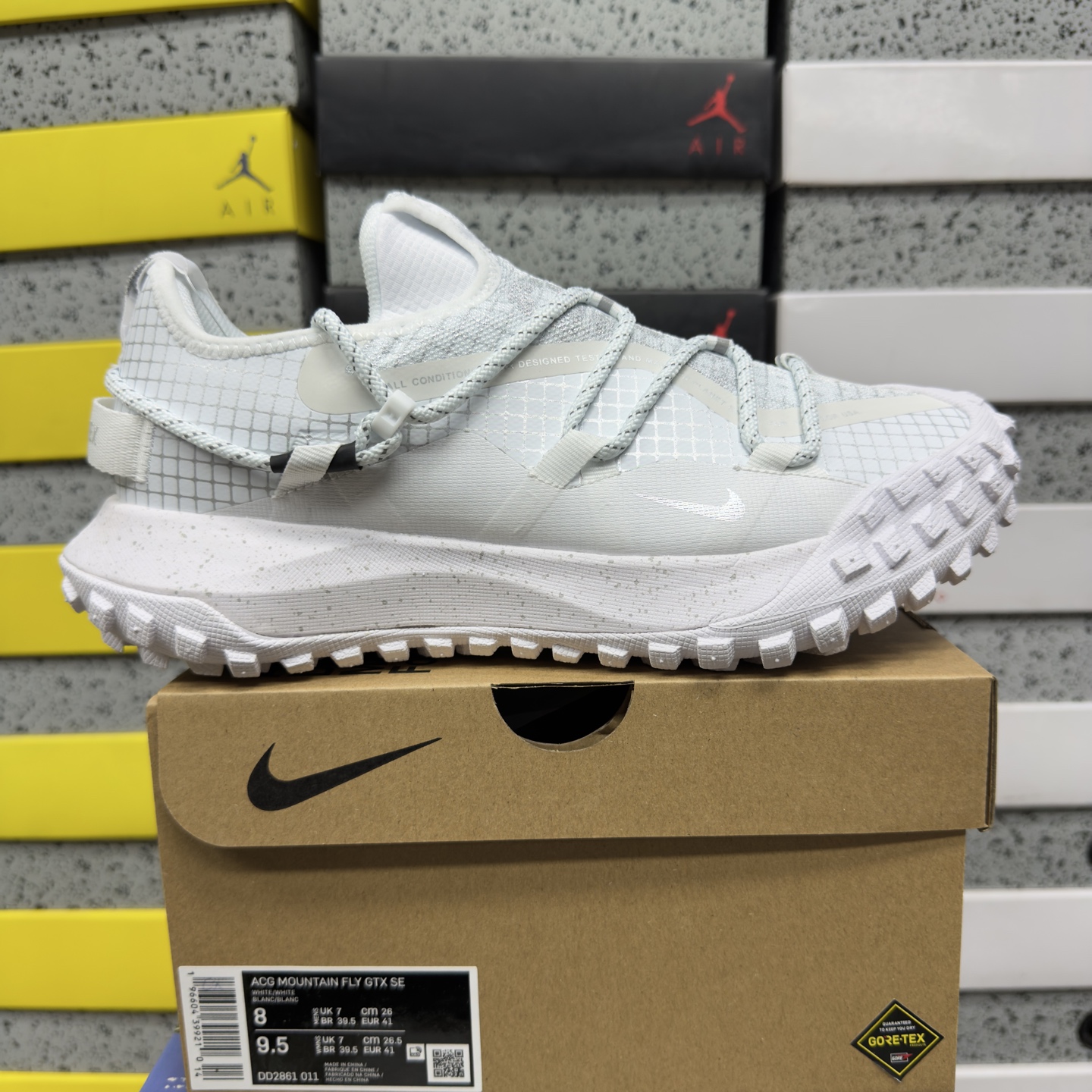 Nike ACG MOUNTAIN FLY GTX SE DD2861-011