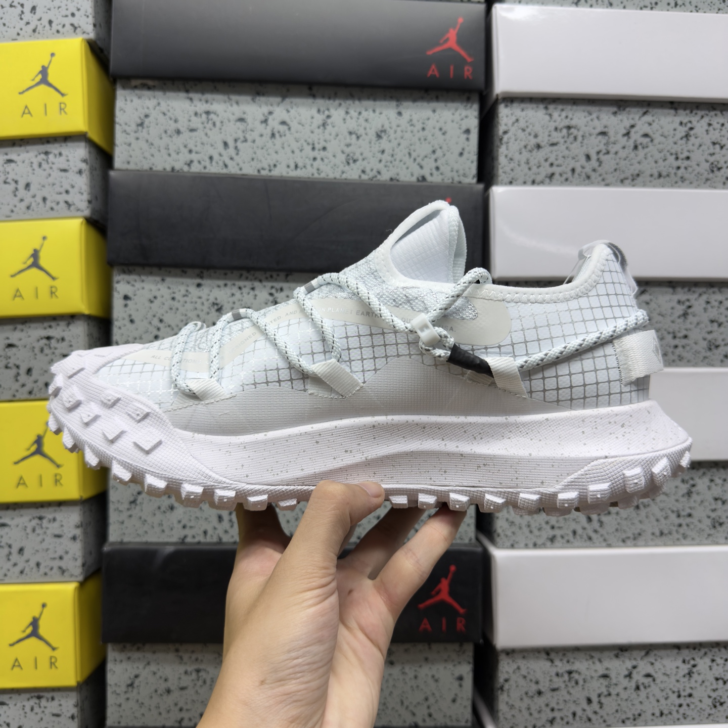 Nike ACG MOUNTAIN FLY GTX SE DD2861-011 2