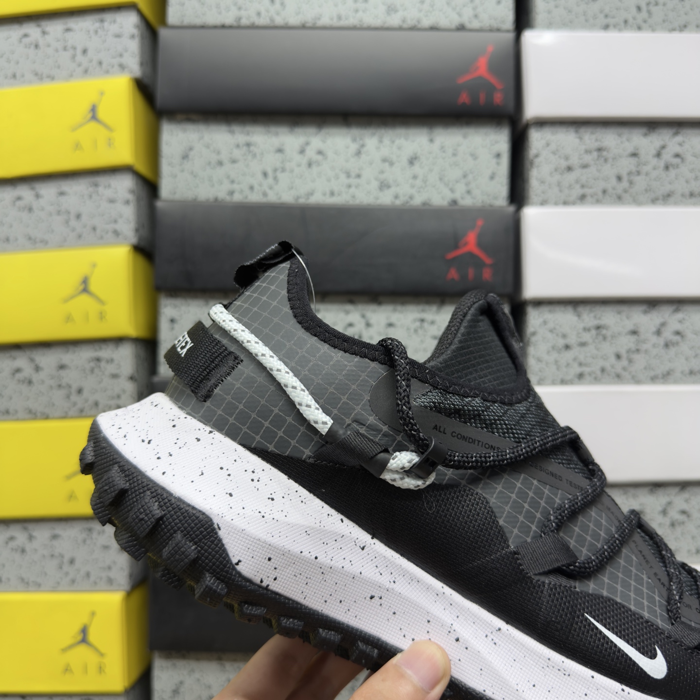 Nike ACG MOUNTAIN FLY GTX SE DD2861-010 4