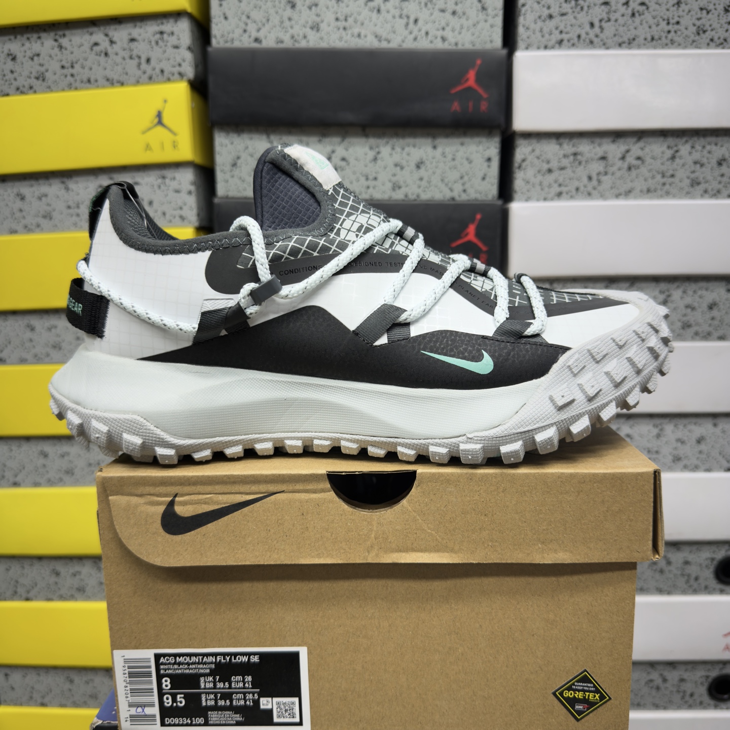 Nike ACG MOUNTAIN FLY GTX SE D09334-100