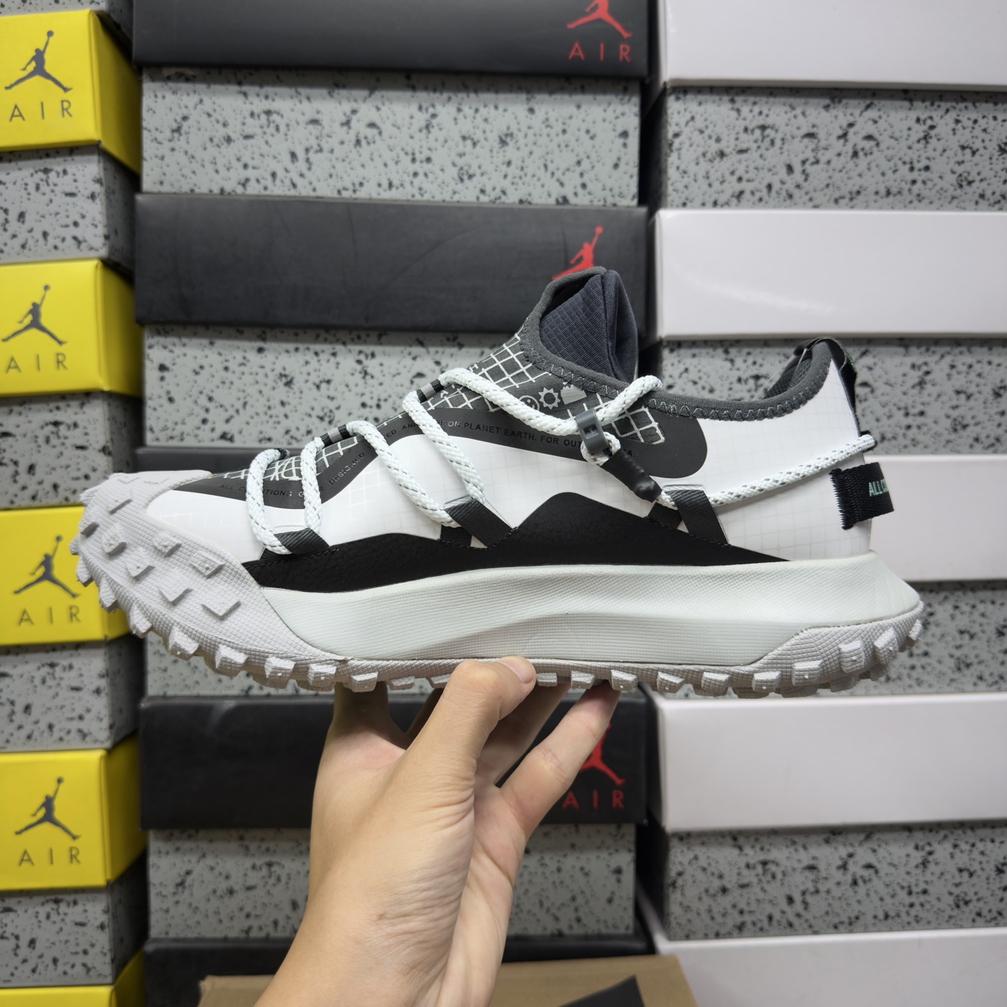 Nike ACG MOUNTAIN FLY GTX SE D09334-100 2